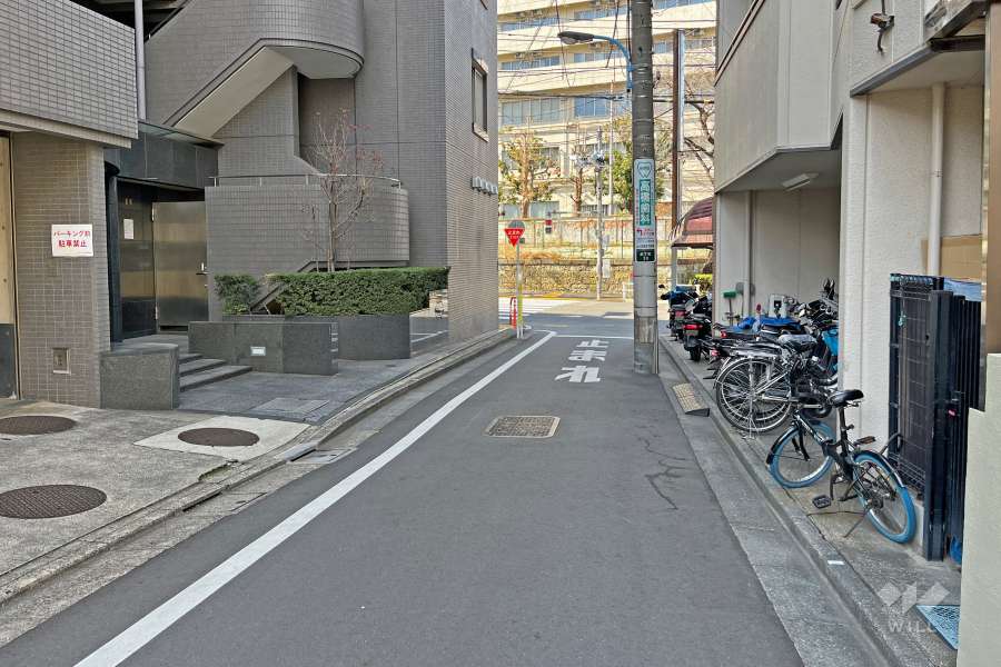 敷地の東側前面道路（南側から）