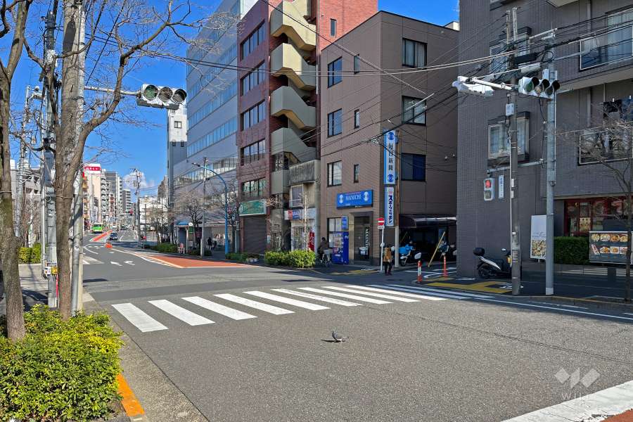 敷地の北側前面道路は団子坂です（西側から）。