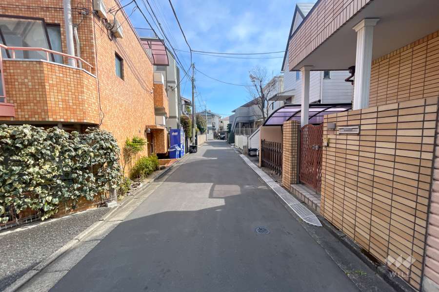 敷地の南側前面道路（西側から）