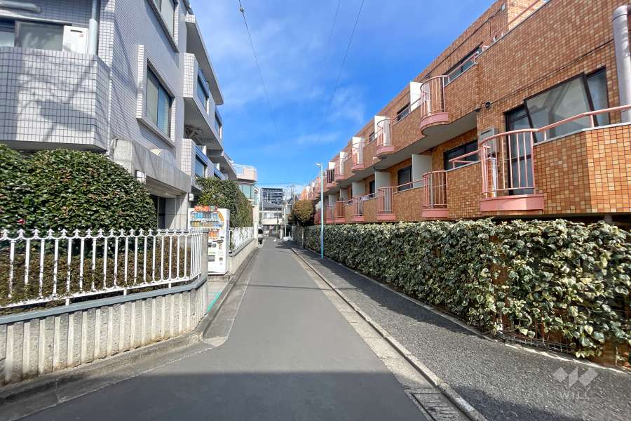 敷地の西側前面道路（南側から）