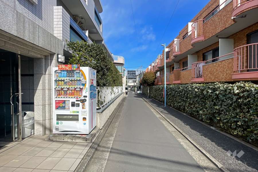 敷地の東側前面道路（南側から）