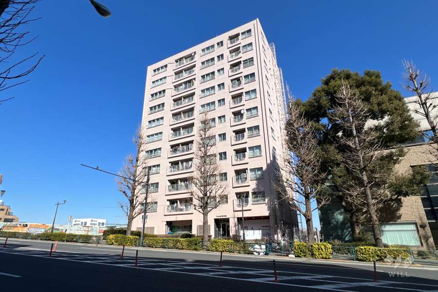 エントピア第3荻窪の外観（南側から）