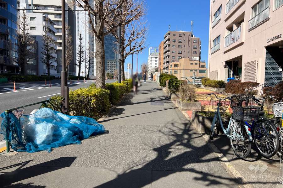 敷地南西側の前面道路