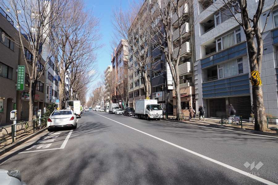 敷地西側の前面道路（南側から）