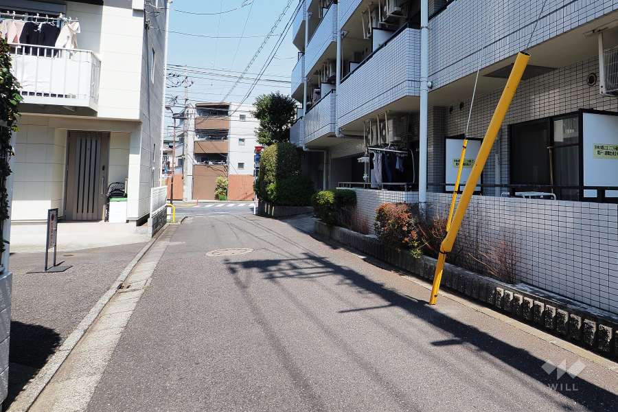 敷地西側の前面道路（南側から）