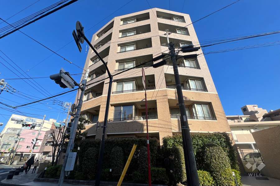 サーパス阿佐ヶ谷中杉通りの外観（西側から）