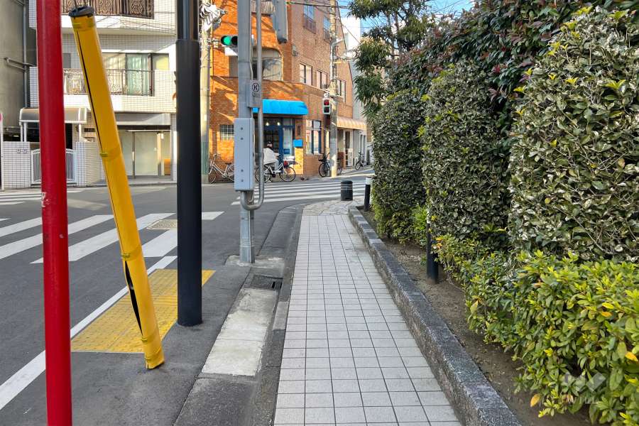 敷地の西側前面道路（南側から）