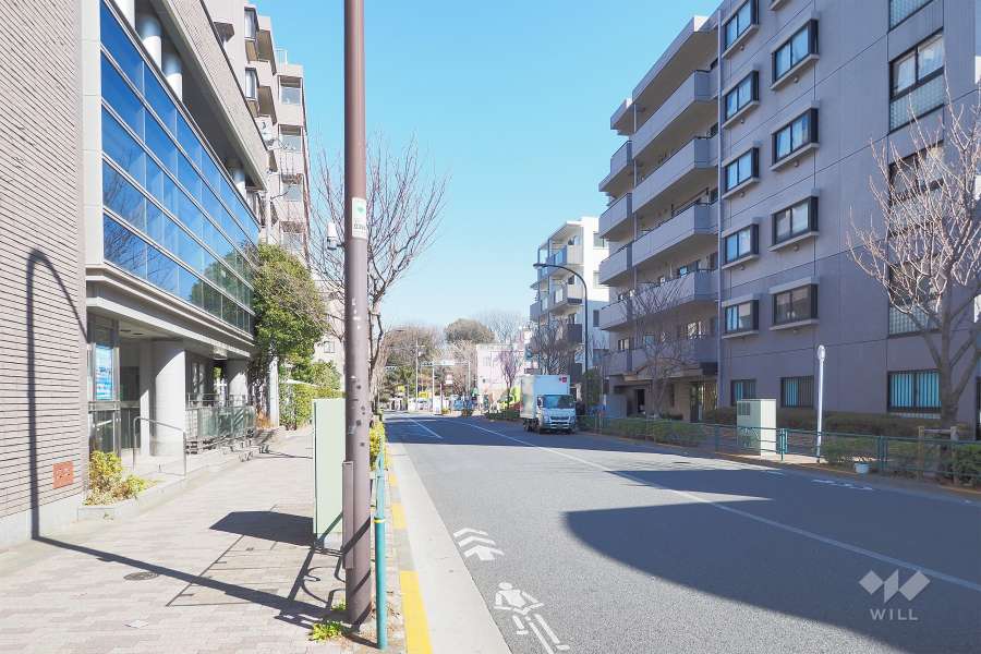 敷地西側の前面道路