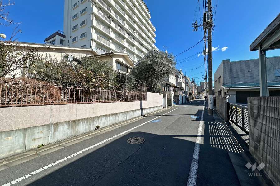 敷地南側の前面道路（西側から）