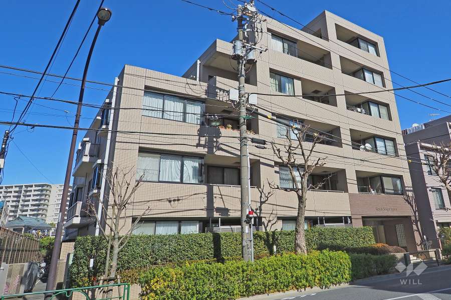 ロイヤルステージ井草の外観（南西側から）