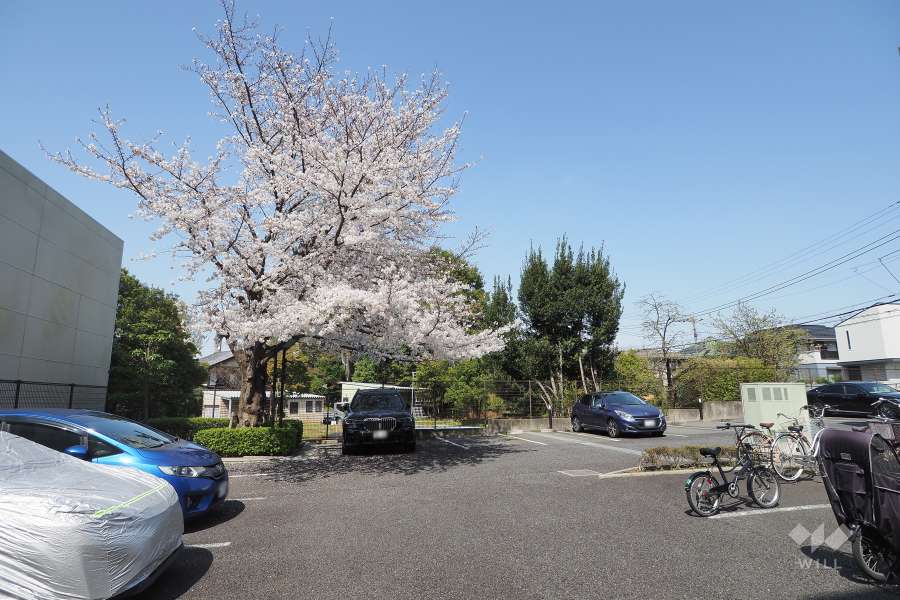 敷地内駐車場（屋外平面式）