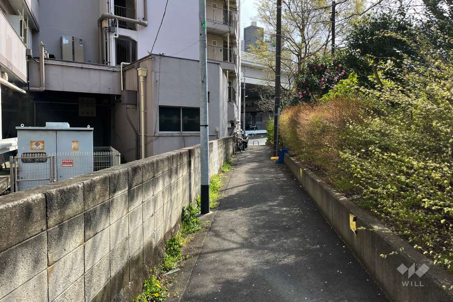 敷地西側の前面道路（北側から）