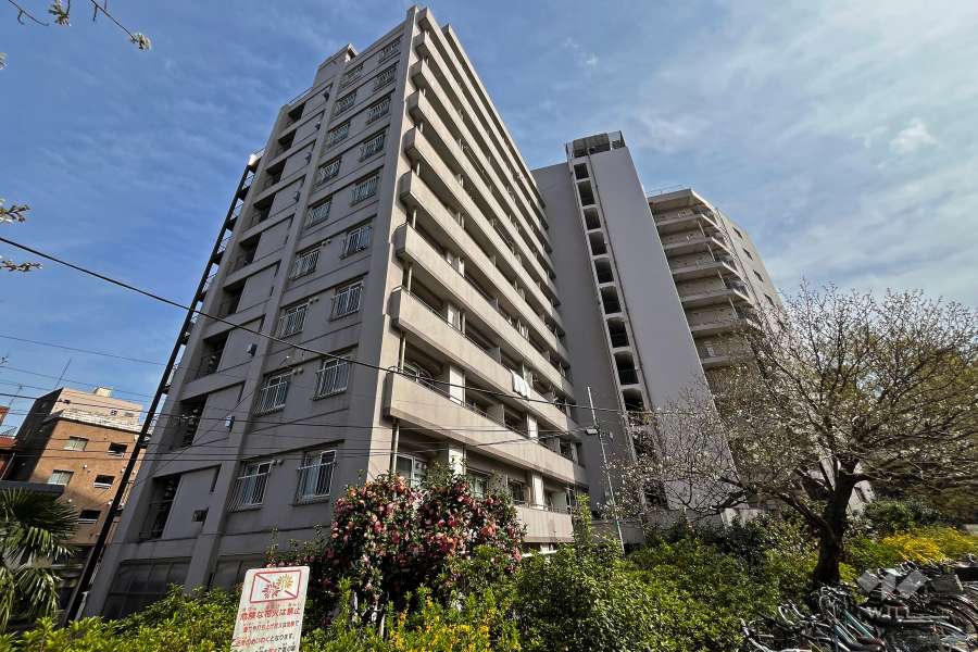 シャトレ明大前の外観（北西側から）