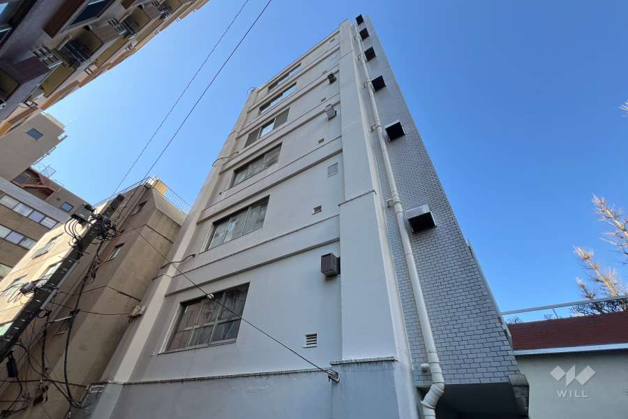 ニューキャッスル荻窪マンションの外観（北東側から）