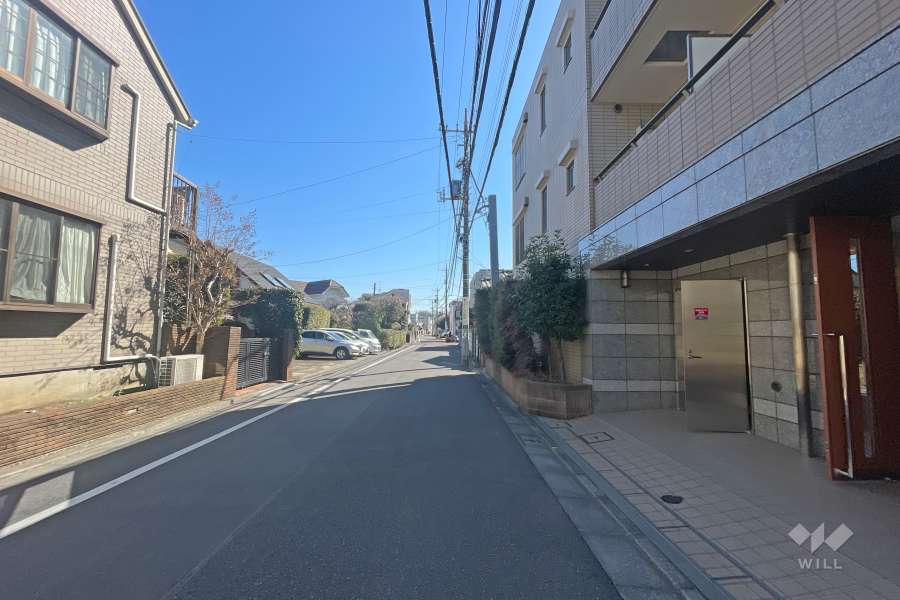 敷地の東側前面道路（北側から）