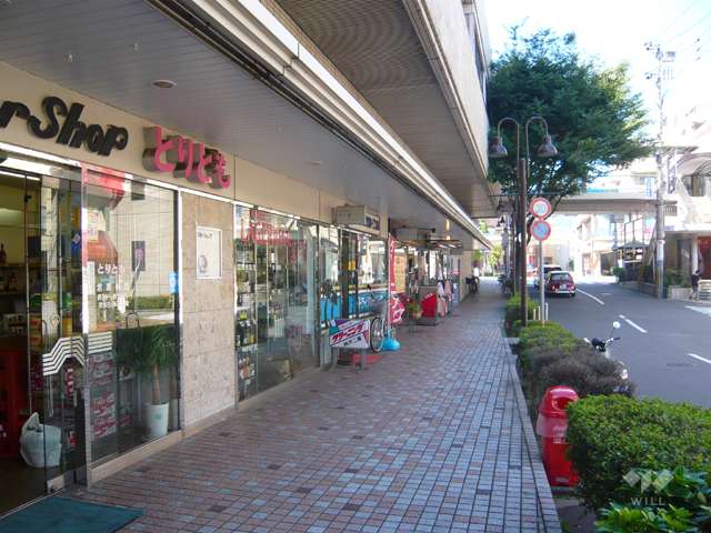 下層階は店舗が入っています