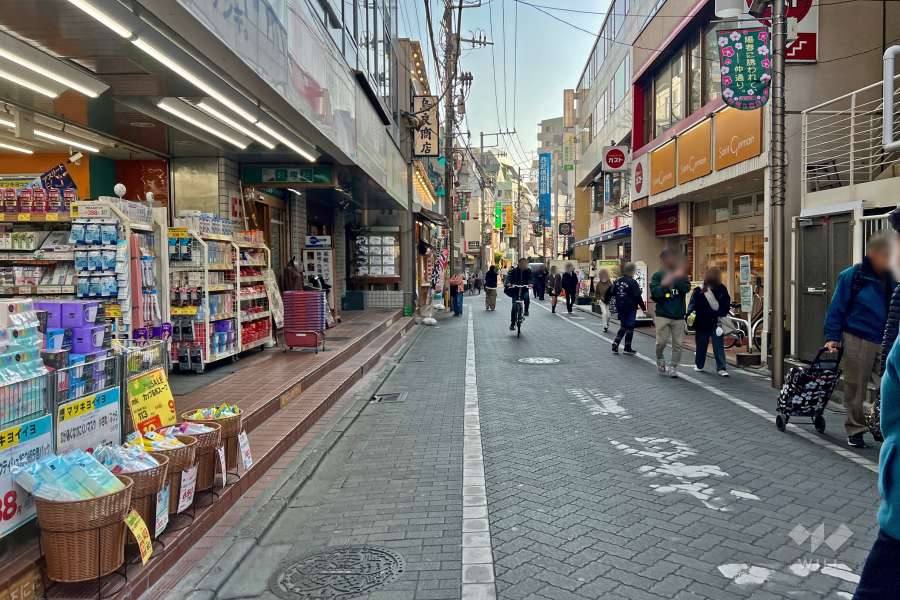 敷地西側の前面道路（北側から）