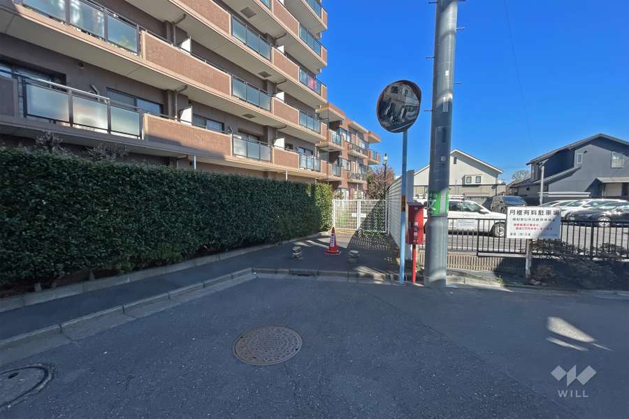 敷地南側の前面道路（西側から）