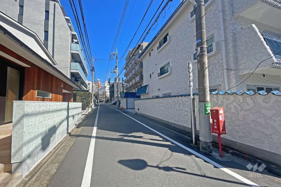 敷地の南側前面道路（東側から）