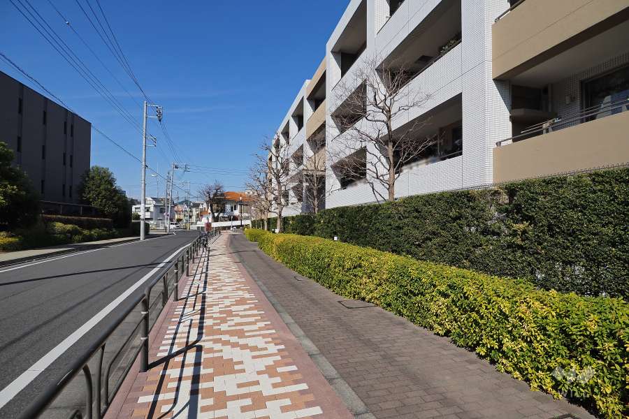 敷地西側の前面道路（南側から）