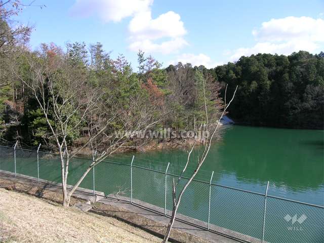 敷地東側の池と林