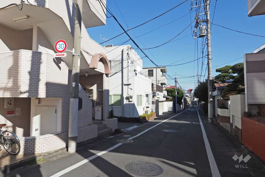 敷地南側の前面道路（西側から）