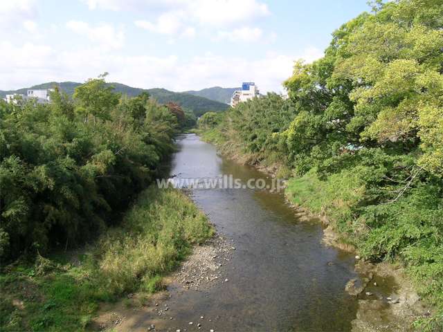 敷地のすぐ南側を流れる猪名川。川沿いは木々が茂り、緑豊かです。