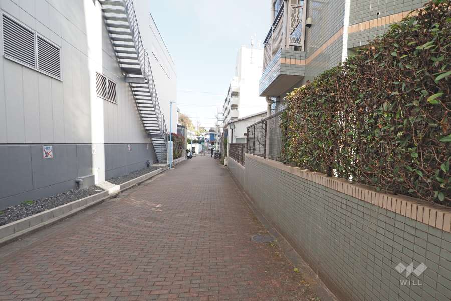 敷地北側の前面道路