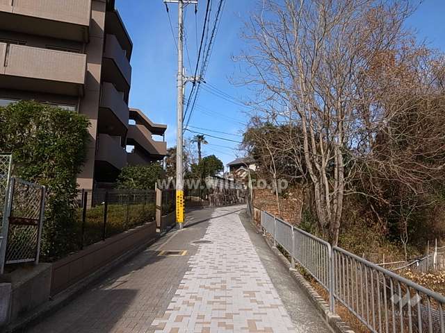 敷地東側の前面道路。周辺には雑木林や田畑が広がり、たいへん自然豊かな住環境です。