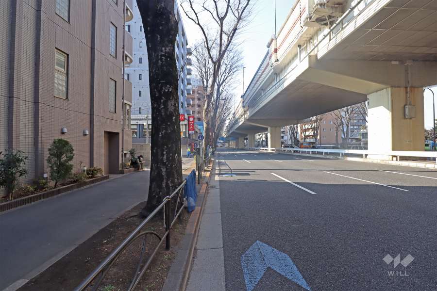 敷地の北側の前面道路（東側から）