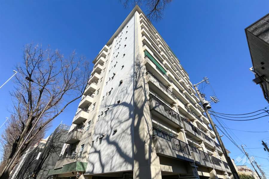 桜上水山森マンションの外観（南東側から）