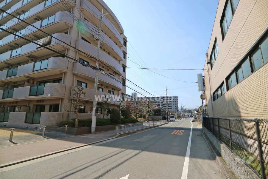 敷地北側の前面道路