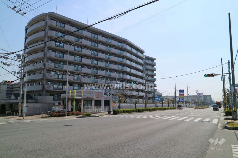 敷地西側の前面道路