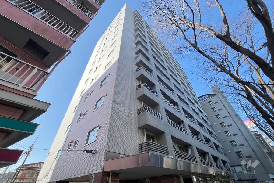 シーアイマンション桜上水の外観（北東側から）