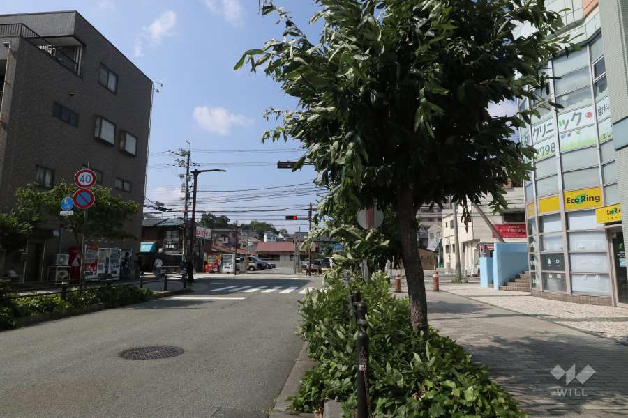 敷地東側の前面道路（南側から）