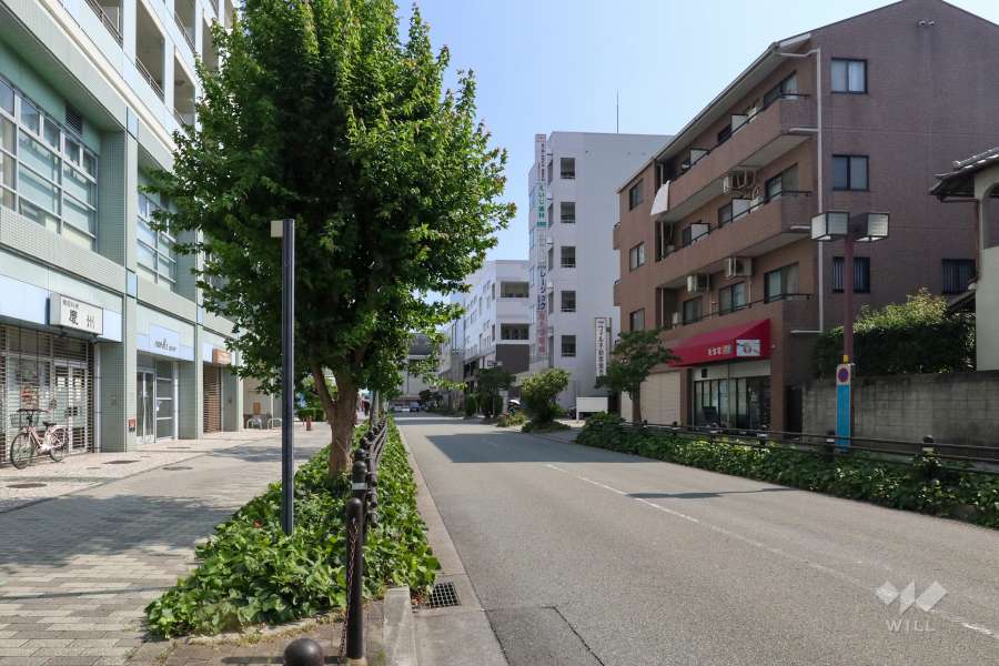 敷地東側の前面道路（北側から）