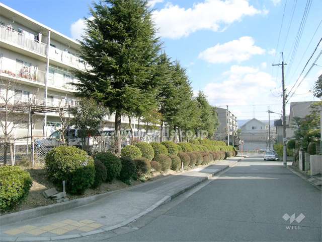 敷地南側の前面道路。道を挟んで一戸建て街が広がっています。