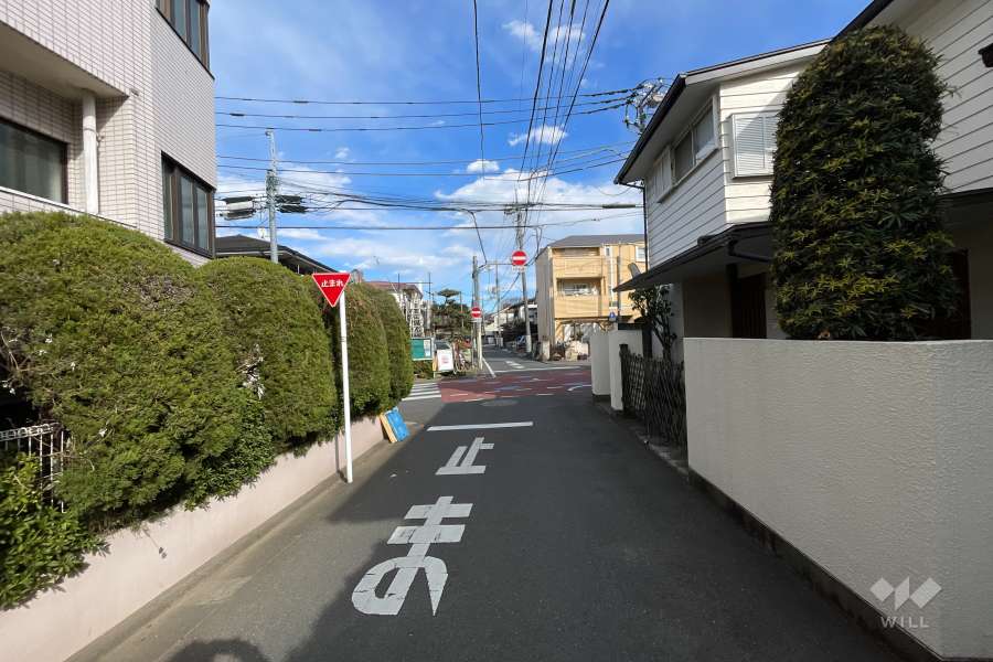敷地の南側前面道路（西側から）