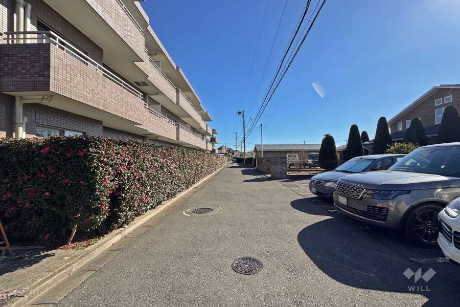 敷地南側の前面道路（西側から）