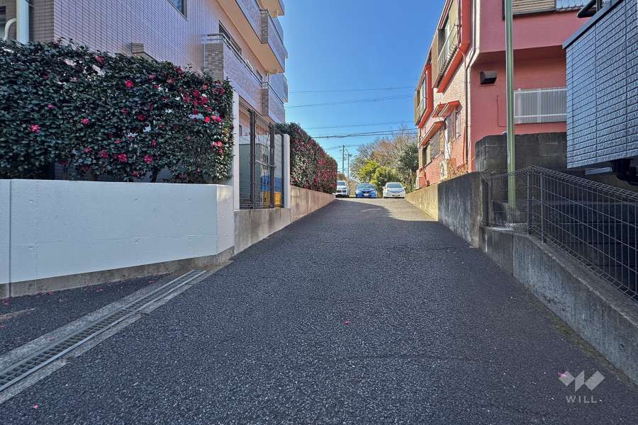 敷地西側の前面道路（北側から）