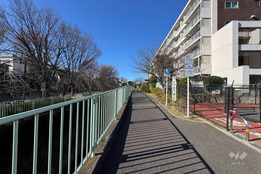 敷地の南側前面道路（東側から）