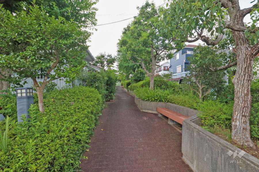 敷地内は緑豊かです。