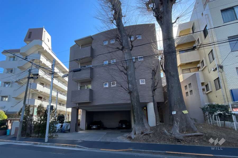 グランデュール富士見ヶ丘の外観（北側から）