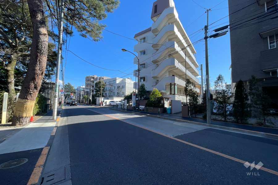 敷地北東側の前面道路