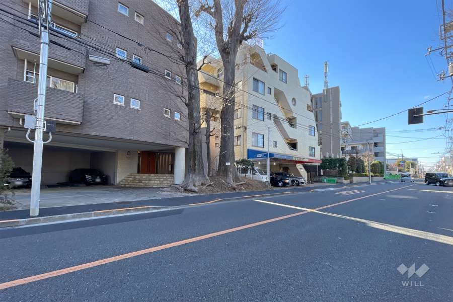 敷地北東側の前面道路　