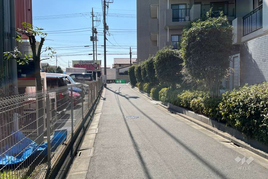 敷地の東側前面道路（北側から）
