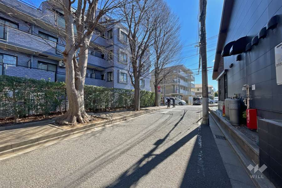 敷地西側の前面道路（北側から）