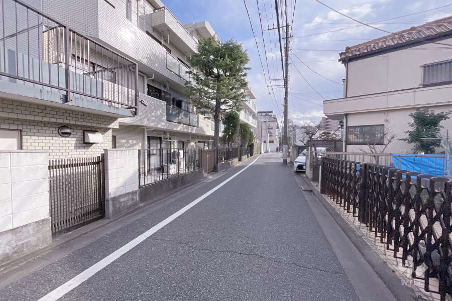 敷地西側の前面道路（北側から）