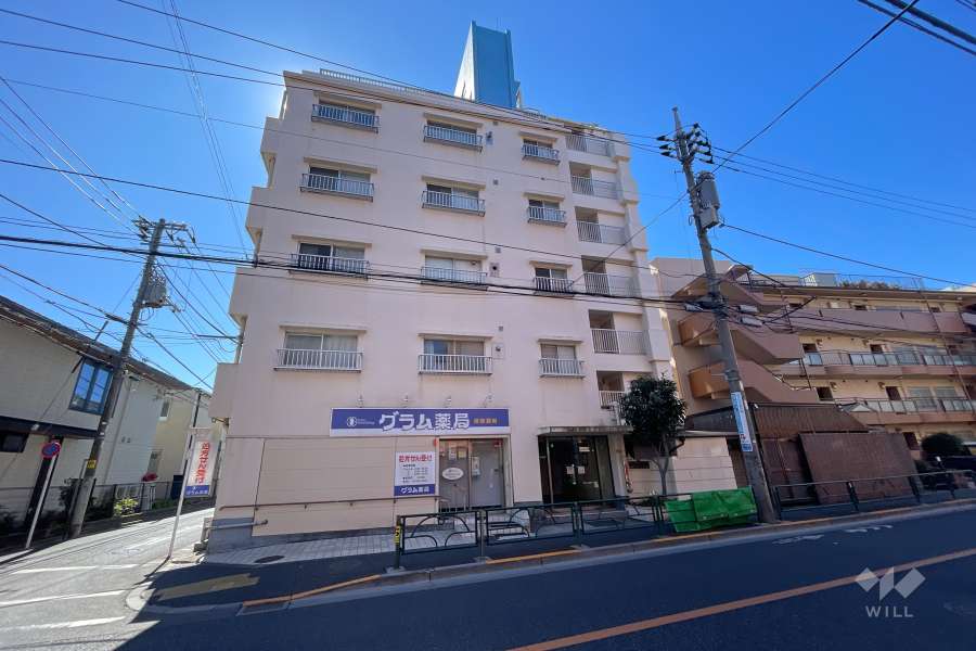 浜田山ニューハウジングの外観（北東側から）