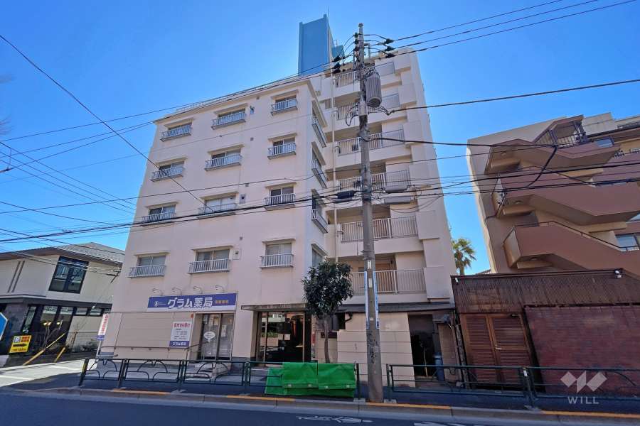 浜田山ニューハウジングの外観（北西側から）